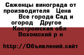 Саженцы винограда от производителя › Цена ­ 800 - Все города Сад и огород » Другое   . Костромская обл.,Вохомский р-н